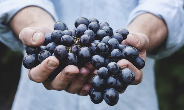 年度选手实力排行榜
